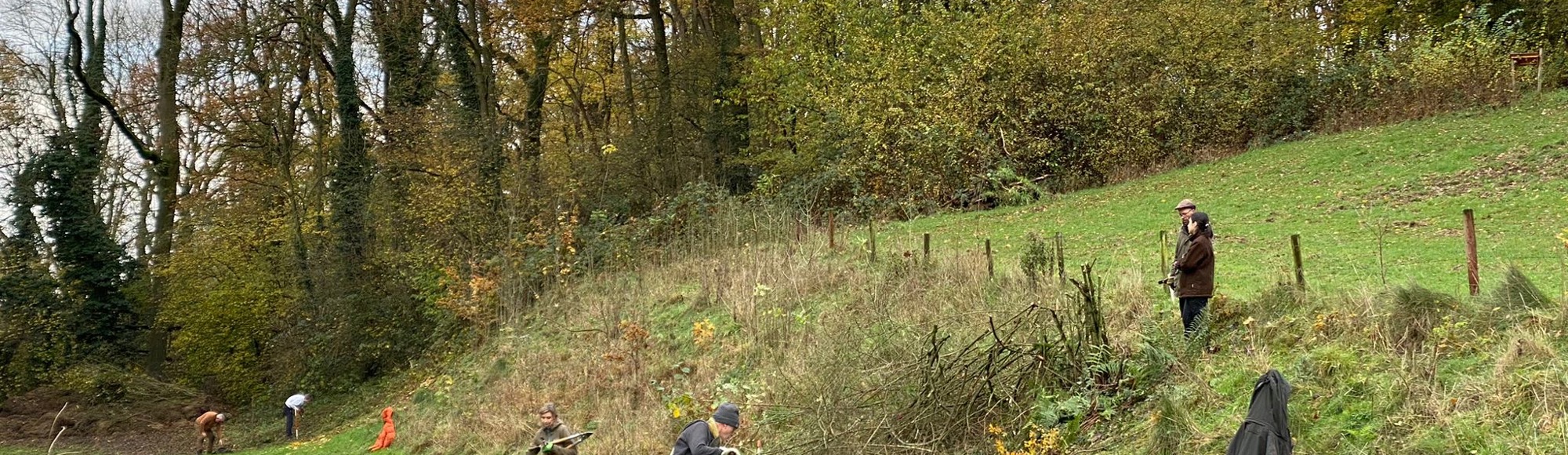 Mensen doen onderhoud aan een groene helling in een natuurgebied met op de achtergrond een bosje
