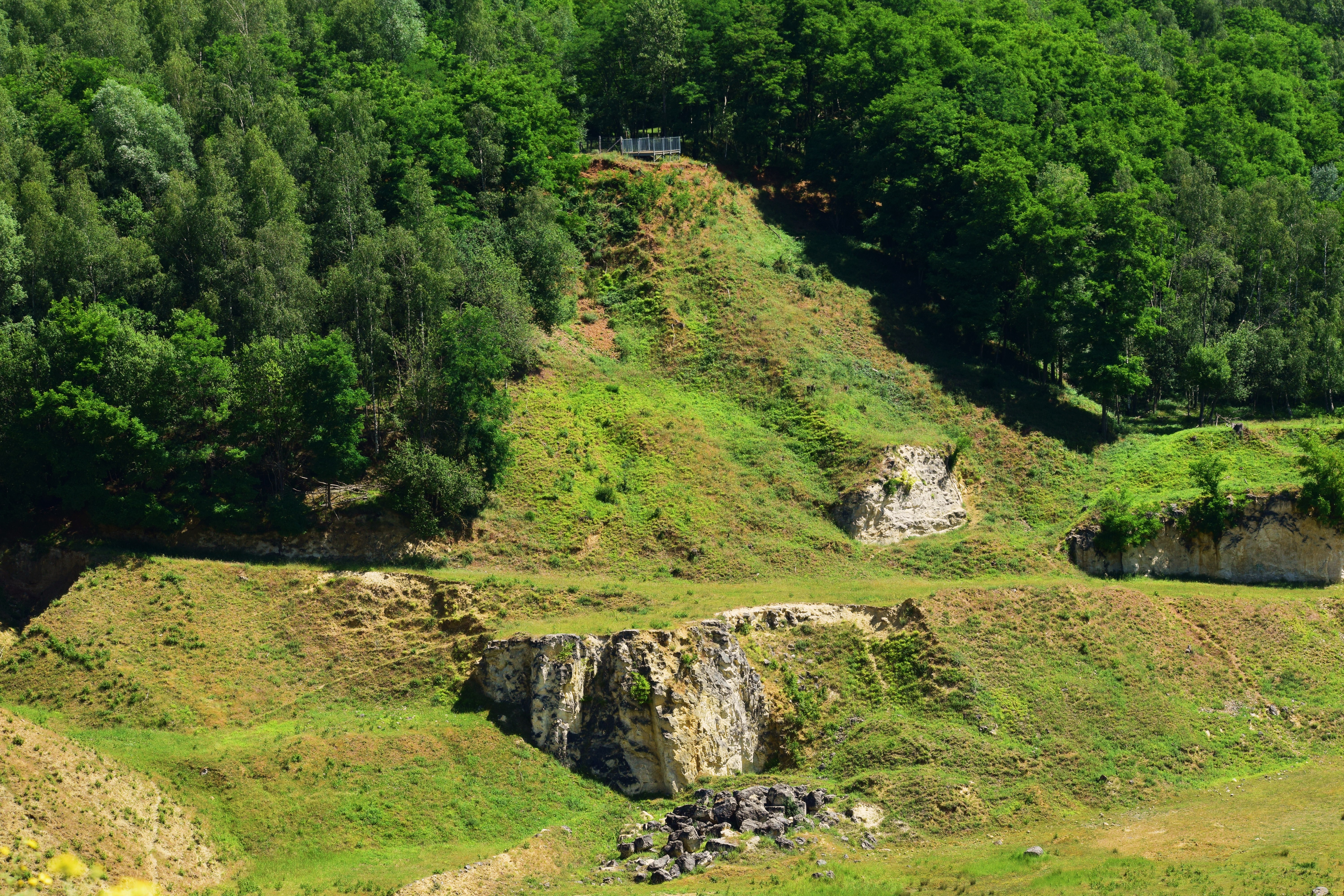 Wandelroute Meerssen - Wandelen in De Dellen